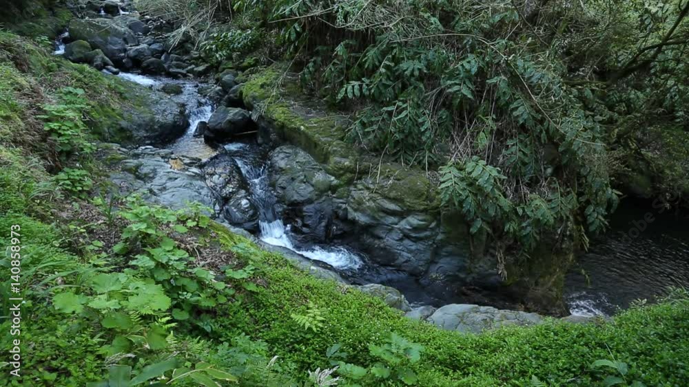 Sources d'eau pure et écologie Sources d'eau pure et écologie