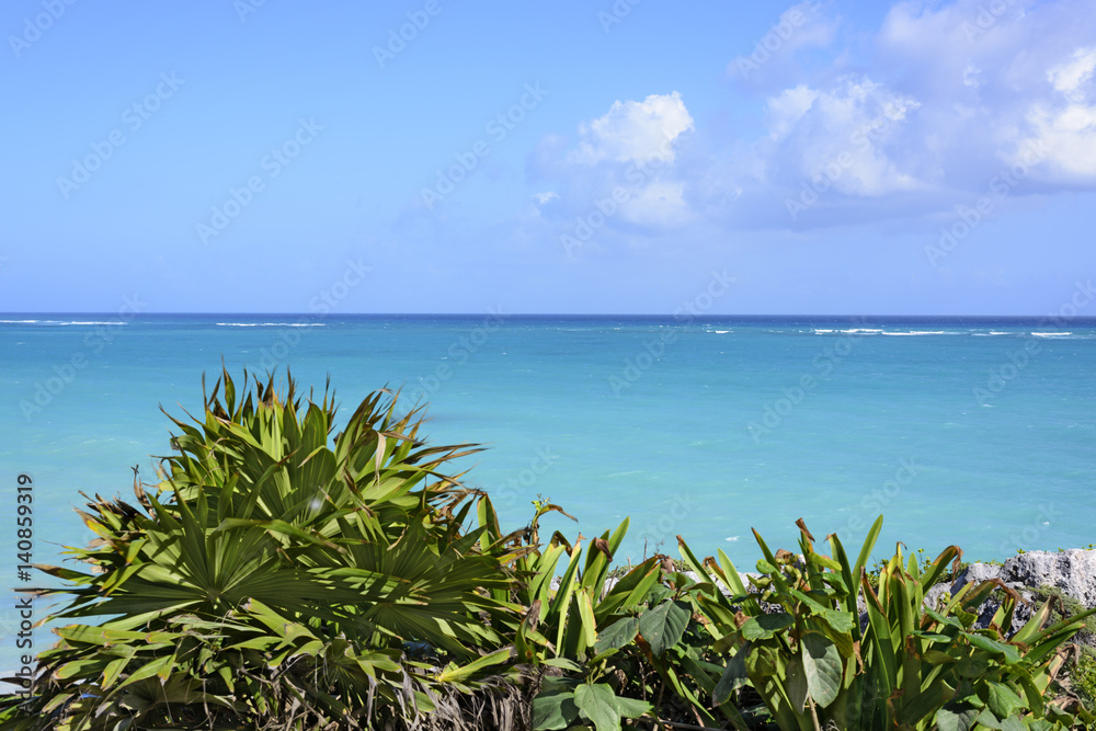 the Caribbean Sea beach under blue sky in Tulum, Yucatan Peninsula, Mexico, green tropical plant foreground, text copy space