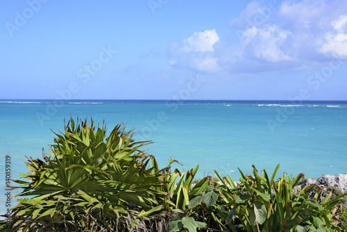 the Caribbean Sea beach under blue sky in Tulum, Yucatan Peninsula, Mexico, green tropical plant foreground, text copy space photo