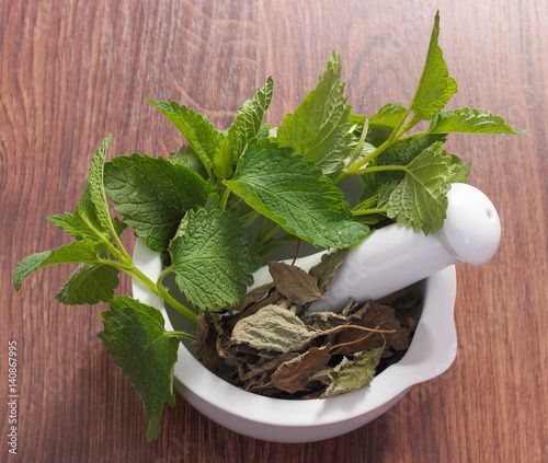 Fresh green and dried lemon balm in mortar, herbalism, alternative medicine