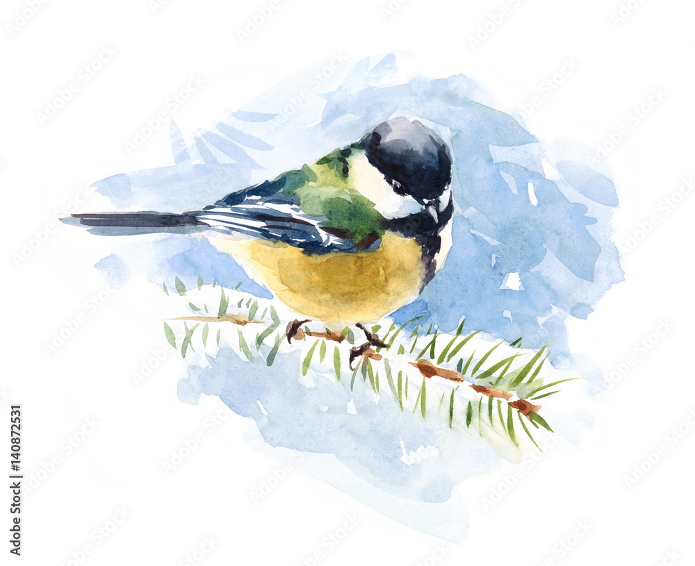 Obraz premium Watercolor Bird Tit Sitting On The Fir Branch Hand Drawn Winter Snow Illustration 