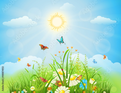 Spring sunny meadow with green grass, flowers and butterflies