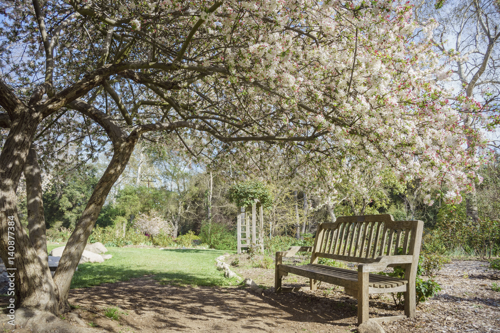 Beautiful Flowering Crabapple flower blossom at Descanso Garden Beautiful Flowering Crabapple flower blossom at Descanso Garden