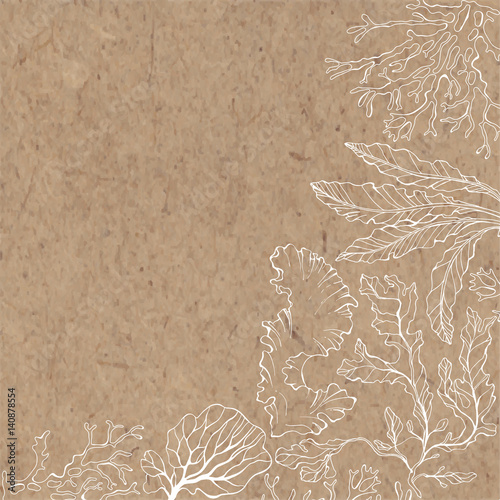 Marine background with algae and place for text. Vector illustration on a kraft paper.