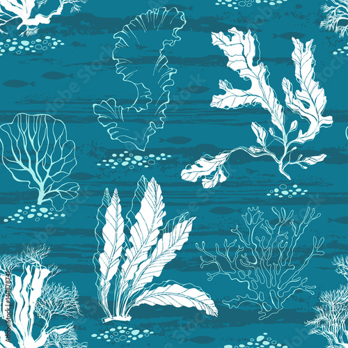 Underwater world. Seamless vector pattern with algae and fishes.