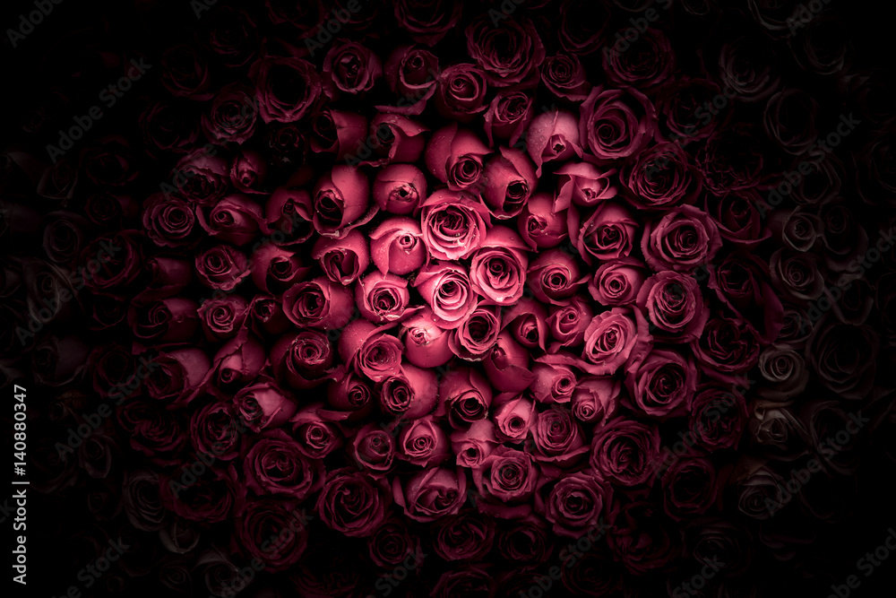 Fototapeta premium tło ściany kwiaty z niesamowitymi różami