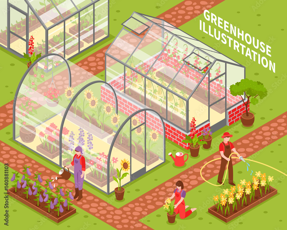 Colored Greenhouse Composition