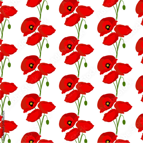 Background with poppies flowers