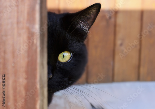 Black cat with yellow eyes peeking out from the corner