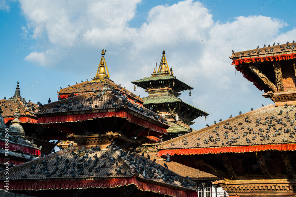Pigeons Covering the Roofs of Ancient Temples in Kathmandu, Nepal Pigeons Covering the Roofs of Ancient Temples in Kathmandu, Nepal