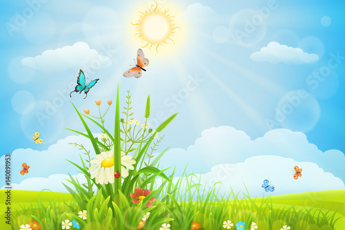 Sunny summer background with green grass, flowers and butterflies