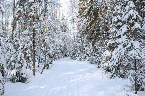 White ski road. © German S