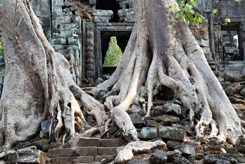 Ta Prohm temple, Cambodia. Ancient ruins. Tourist destination Ta Prohm temple, Cambodia. Ancient ruins. Tourist destination
