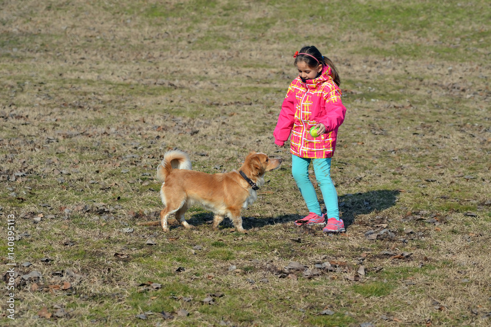 Fototapeta Toddler girl playing with her dog
