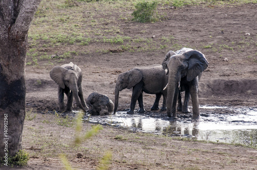 Marloth Park Game Reserve South Africa