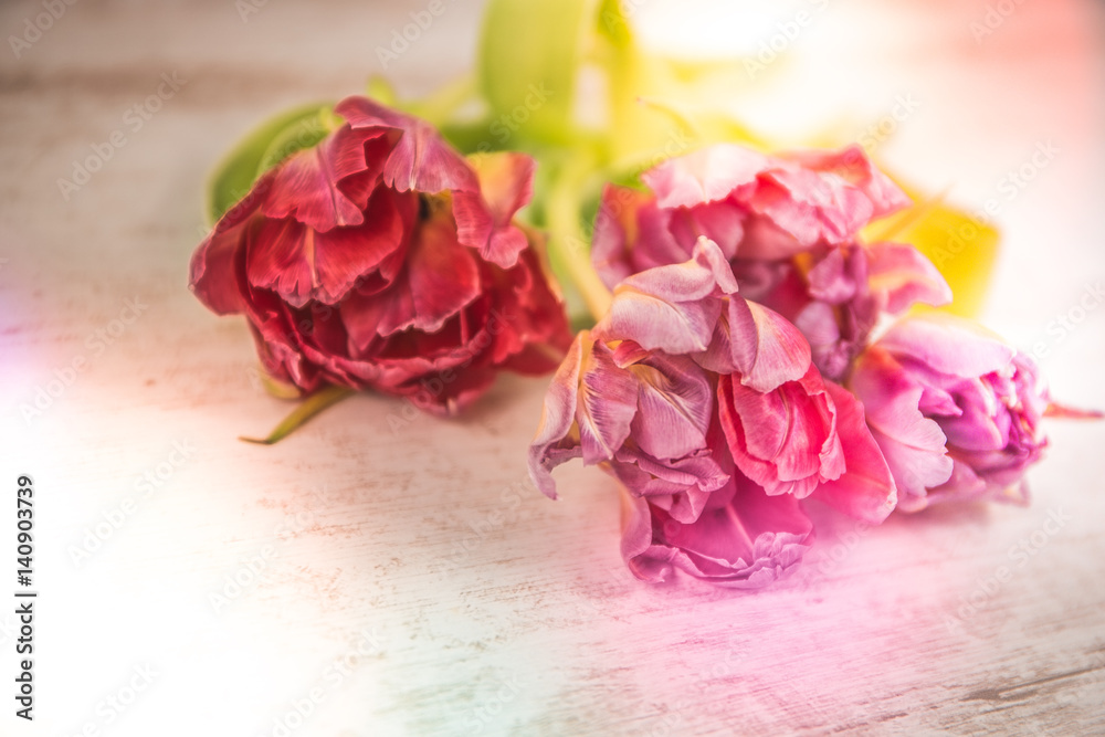 Fototapeta premium Tulpen Blumenestrauß 