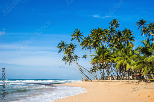 Tropical beach near Mirissa in sunny day. Indian ocean shore, Sri Lanka.