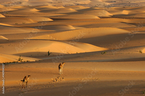 Mauritania adventure