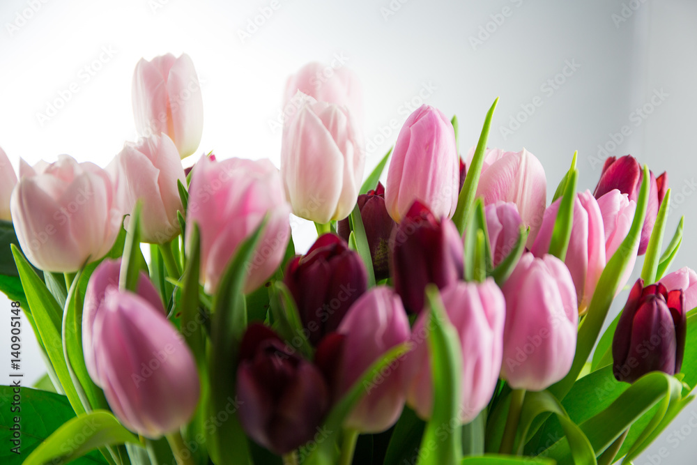Fototapeta premium Bukiet tulipanów