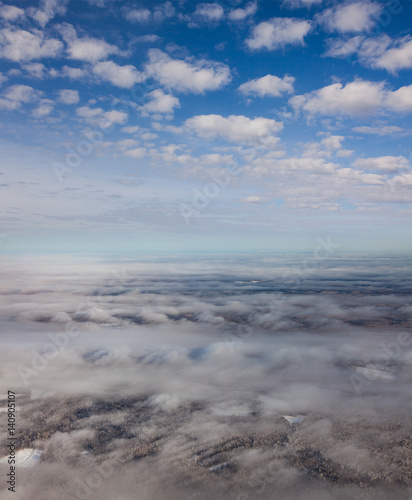 Wooded plain in winter  top view