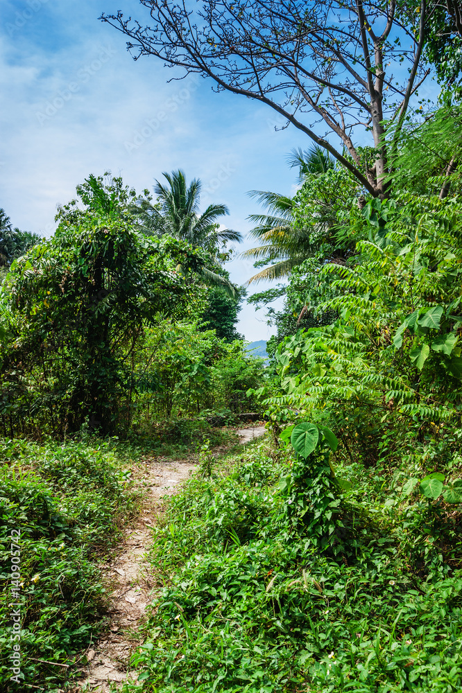 Fototapeta premium Tropical landscape in Phuket Thailand