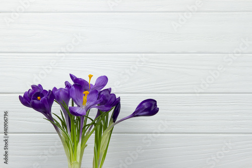 the purple flower Crocus are green leaves white wooden background