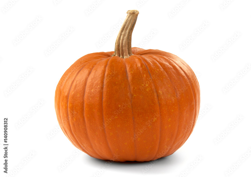 Pumpkin Pumpkin
