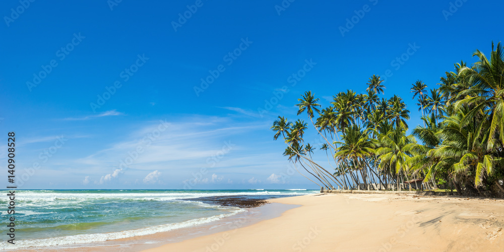 Panoramic view of a wild tropical beach in southern part of Sri Lanka in sunny day. - obrazy, fototapety, plakaty 