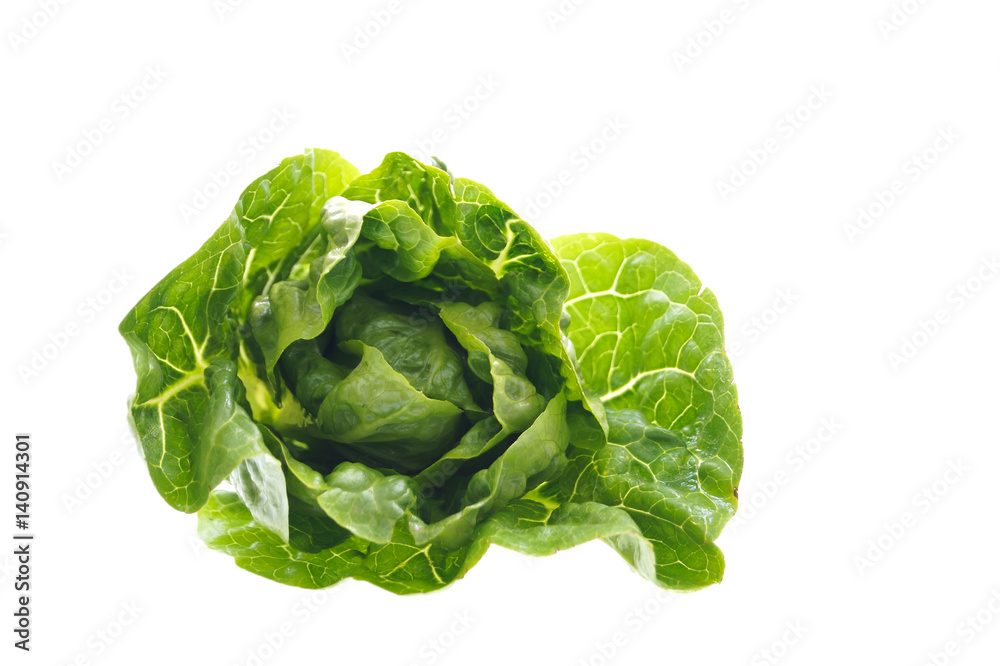 Fototapeta premium Grüner Salat auf weißem Hintergrund