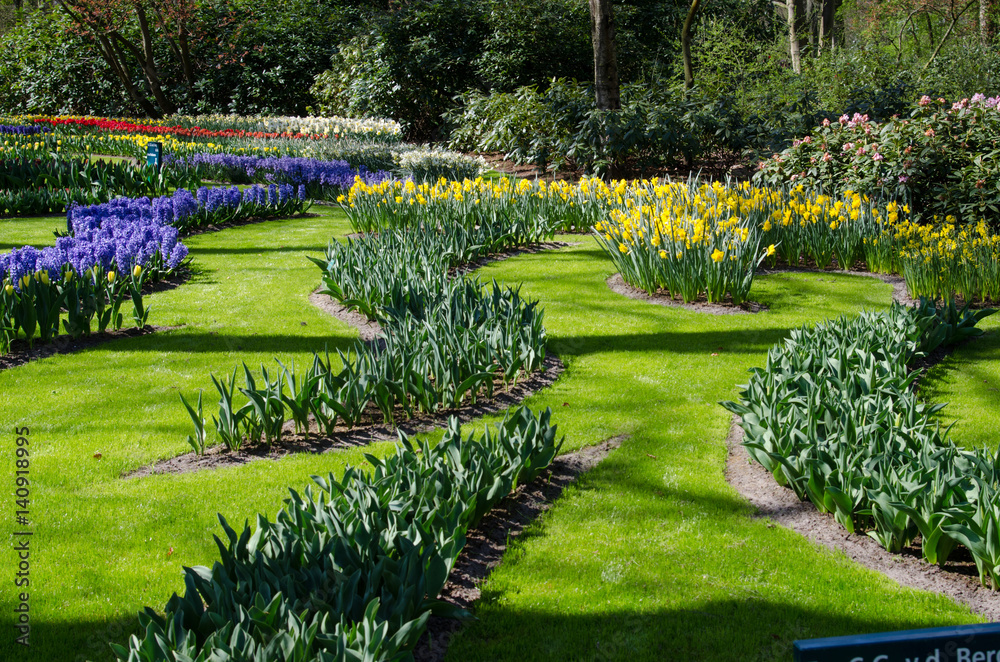 Amazing landscape with colorful flower beds and flower patterns in the park Keukenhof, Holland, Europe.