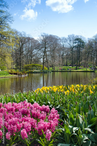 Beautiful spring landscape with flowers and a lake in the parkKeukenhof, Holland, Europe.