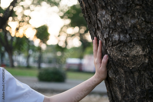 woman hand touch a tree