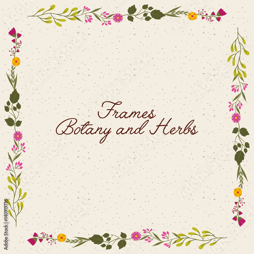 frame botany and herbs. colorful design. vector illustration