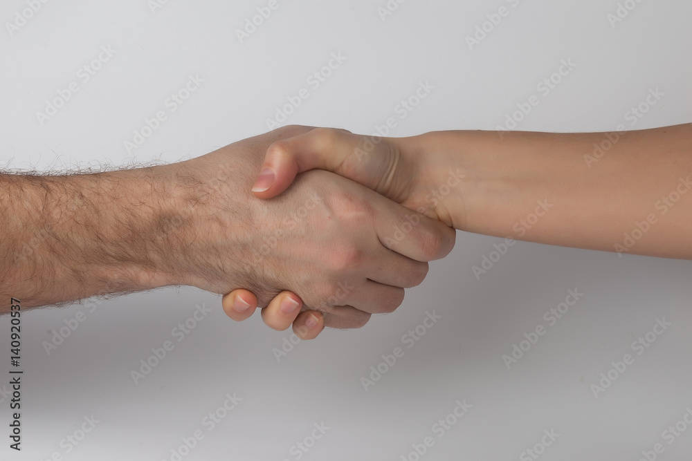Handshake on the white background Handshake on the white background