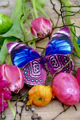 Frohe Ostern - Grußkarte - ...