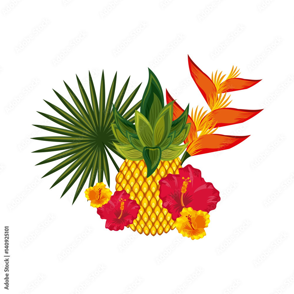 tropical leaves and flowers over white background. colorful design. vector illustration