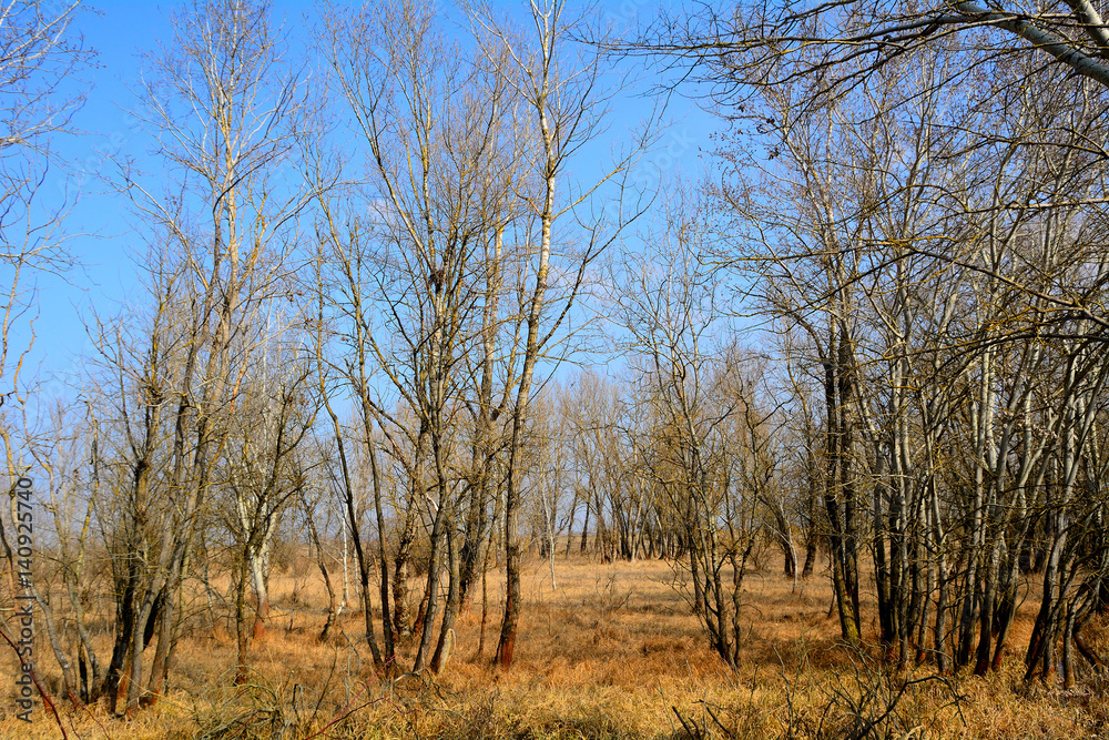 The famous Hungarian puszta, Apajpuszta, Hungary