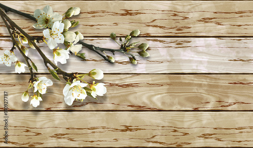 Wooden cracked grunge background with spring flowering twigs. Buds and white flowers on bare twigs. 3d rendering