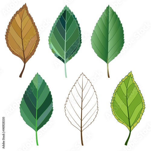 colorful mosaic apple leaves. isolated. easy to modify. vector .illustration.