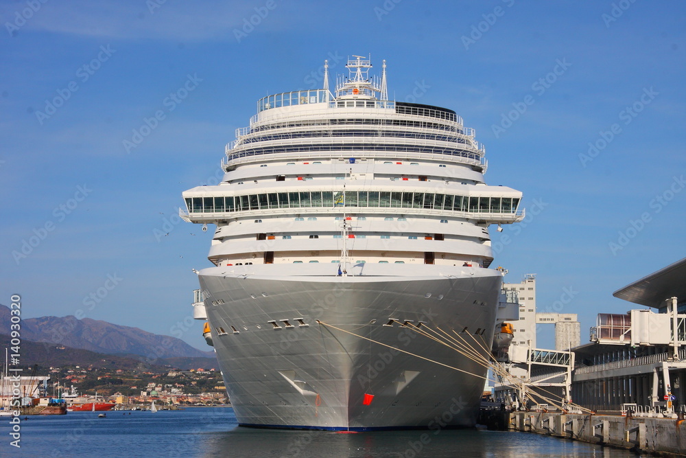 Cruise ship docked in port