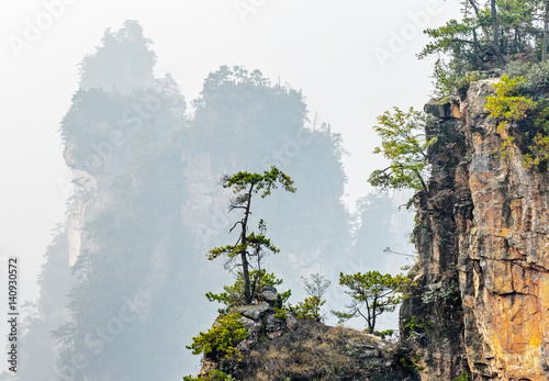 Alone tree on rock column (Avatar rocks). Zhangjiajie National Forest Park was officially recognized as a UNESCO World Heritage Site - China