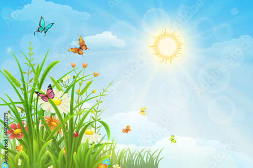 Summer background with flowers  butterflies and green grass
