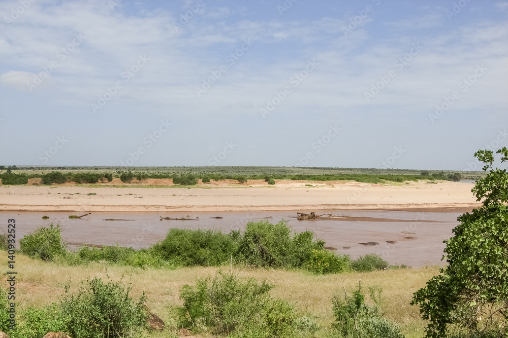 Hippopotameus in Galana river