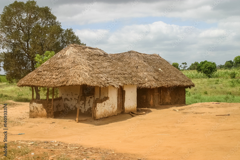African life African life