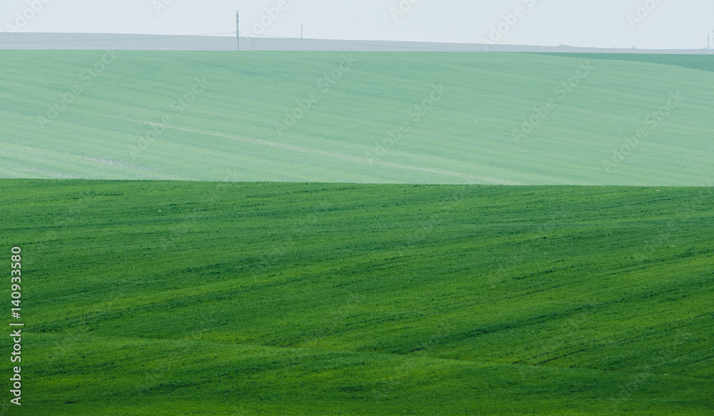 Green Field with foggy background