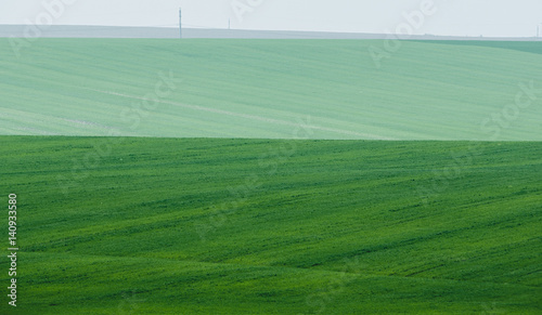 Green Field with foggy background