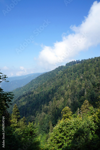 mountains covered with coniferous and deciduous trees  and clouds.