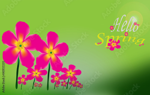Pink flower background and Hello Spring Letters