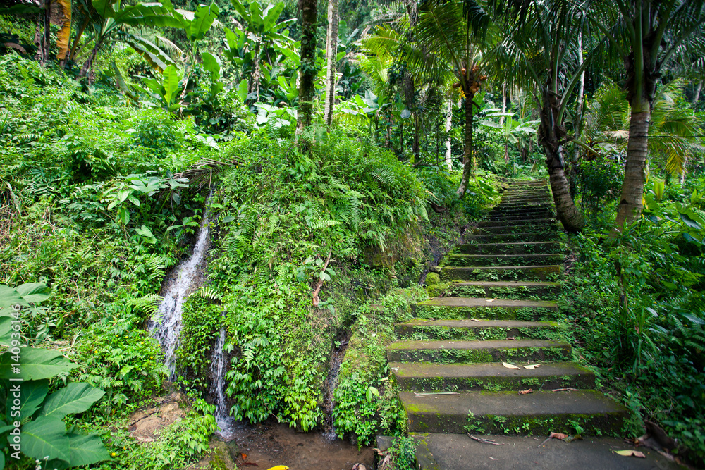 Naklejka premium Old stone stairs in the jungle with a waterfall