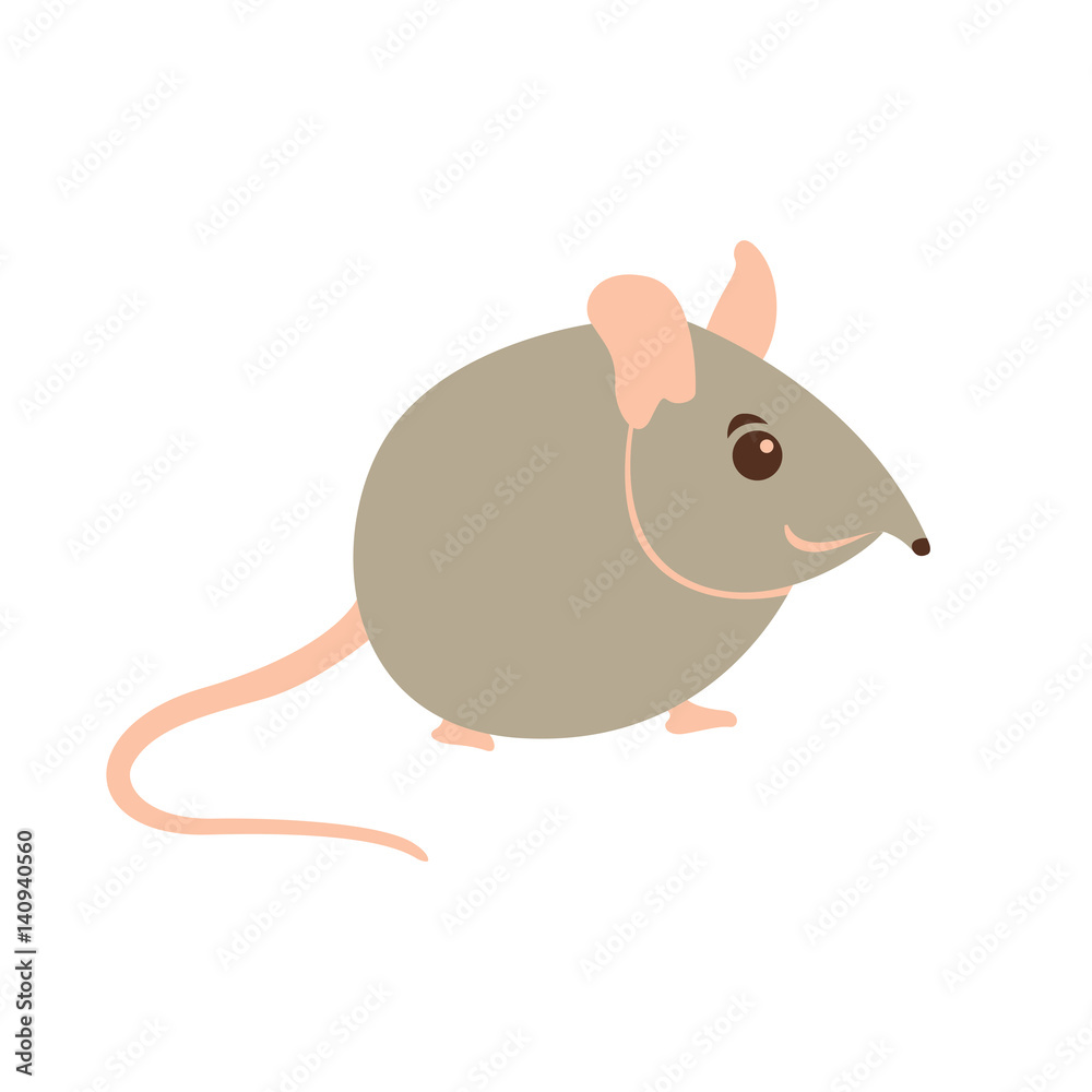 elephant shrew vector illustration style Flat elephant shrew vector illustration style Flat